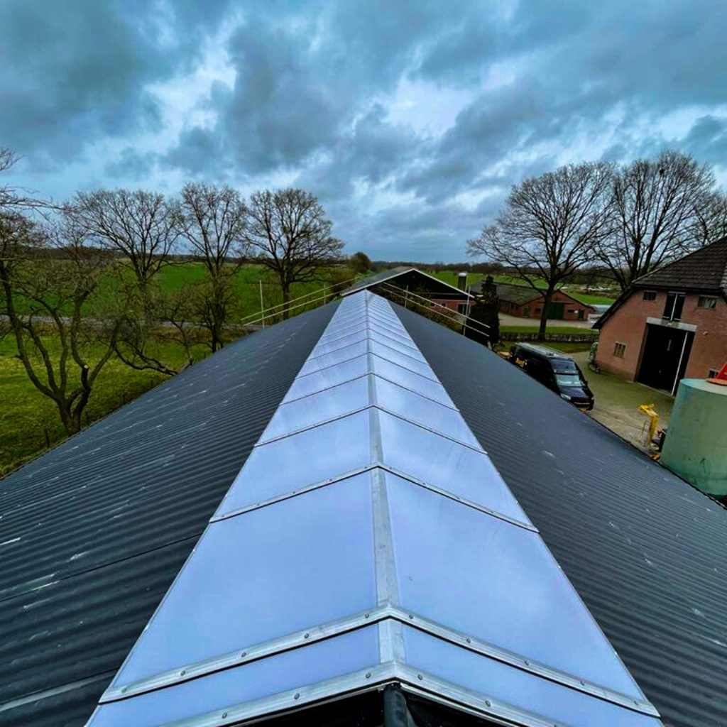 Roof renovation including skylight in Renswoude
